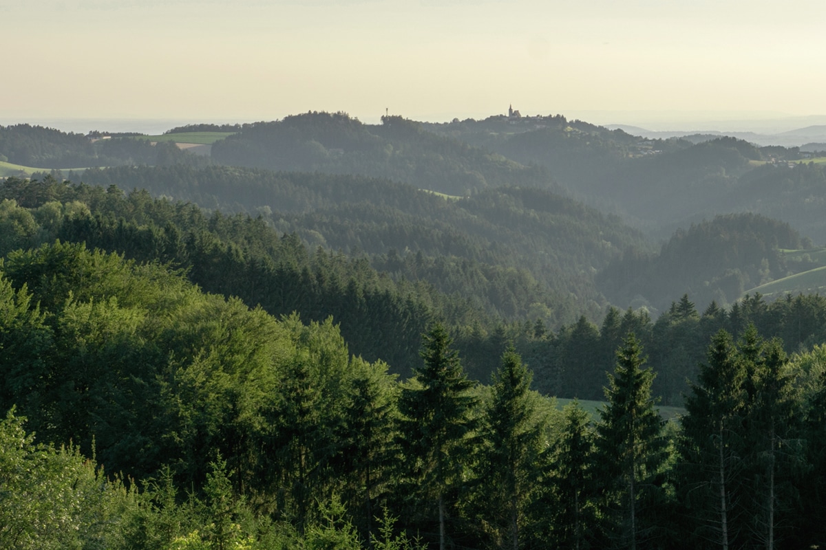 grünes Mühlviertel: Nachhaltigkeit bei Schinko