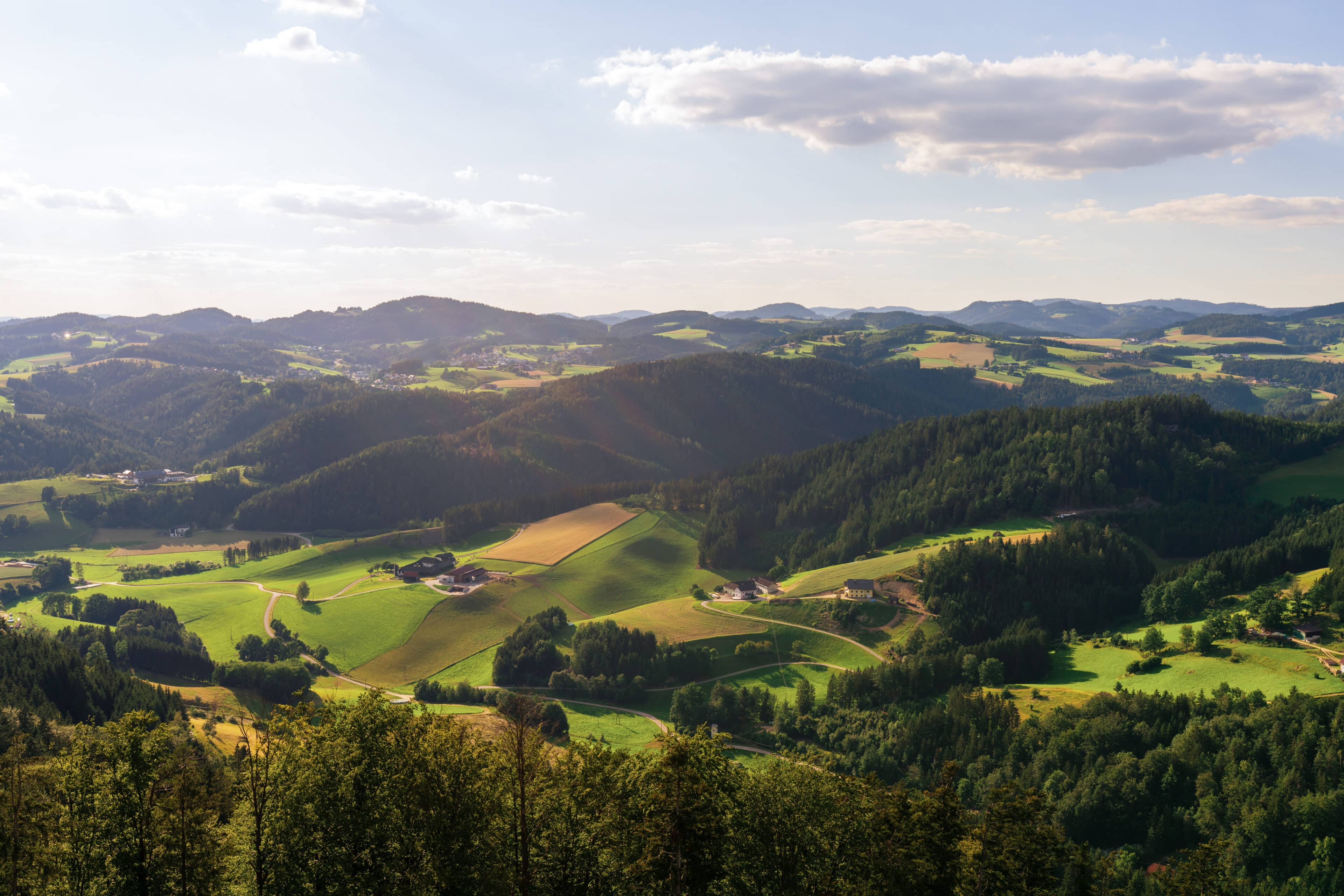 Schinko-Regionalität-Nachhaltigkeit